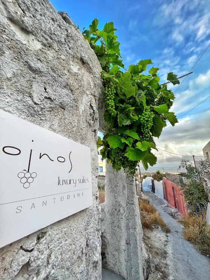 Oinos Luxury Suites Foinikiá Buitenkant foto